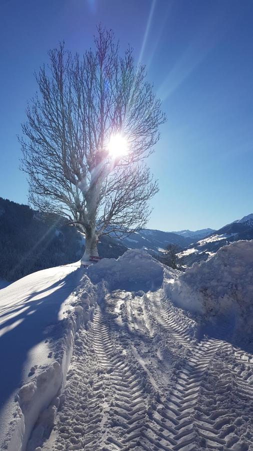 Schöntal Gasthof 3*